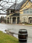 寻找优质合作伙伴 皮勒酒庄代理商招募启事