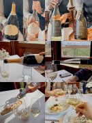 优质葡萄酒代理商招募启事 - 皮勒酒庄诚邀你的加入