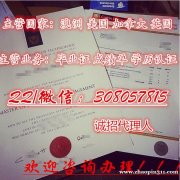 诚招留学代理人