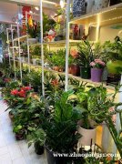 Art Flower（Flushing Flower）聘请收银员