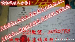 留学以后得规划是怎样的。