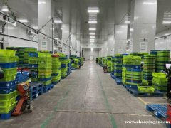 招募 新鮮蔬果倉庫招工分揀員/包裝員