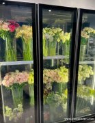 【急需招聘一名花店店长】