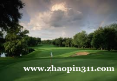 高尔夫球场女服务员招聘