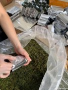 公司急招以下员工