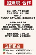美国本地招募｜广告发布协作伙伴