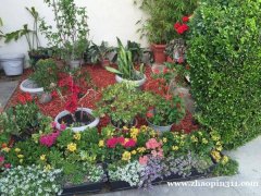 招聘：社区健康服务助理