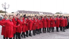 华人老年合唱团成员