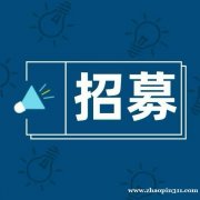 招聘纽约三大机场接送机师傅 自备车