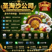 缅甸新金宝国际赌场如何体验电子博彩游戏？官网： sts2956.com