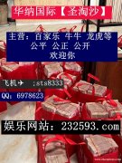 新百盛娱乐赌场全真人实体娱乐厅网投咨询QQ:6978623  /  飞机✈️：sts8333